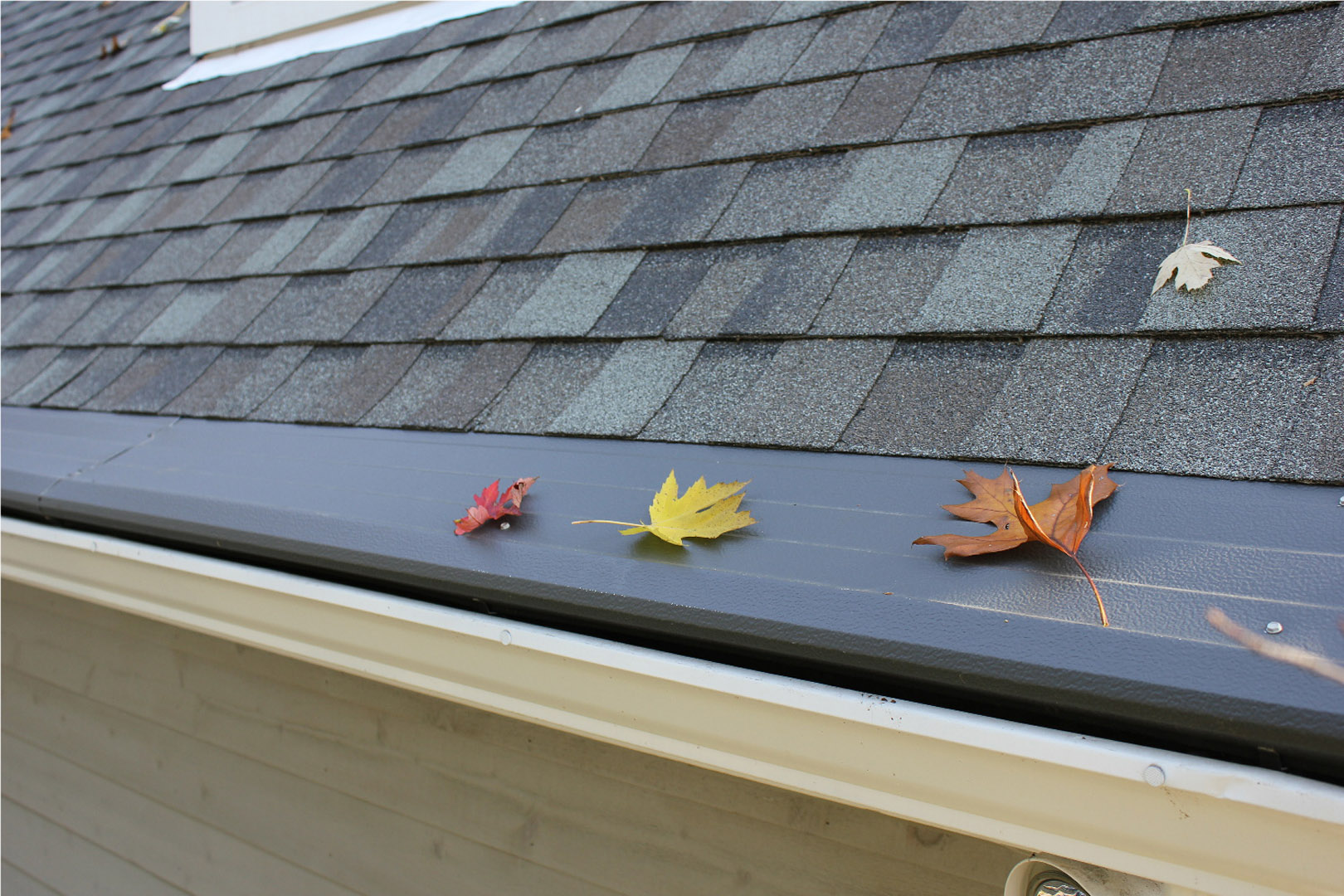 Lifetime warranty image